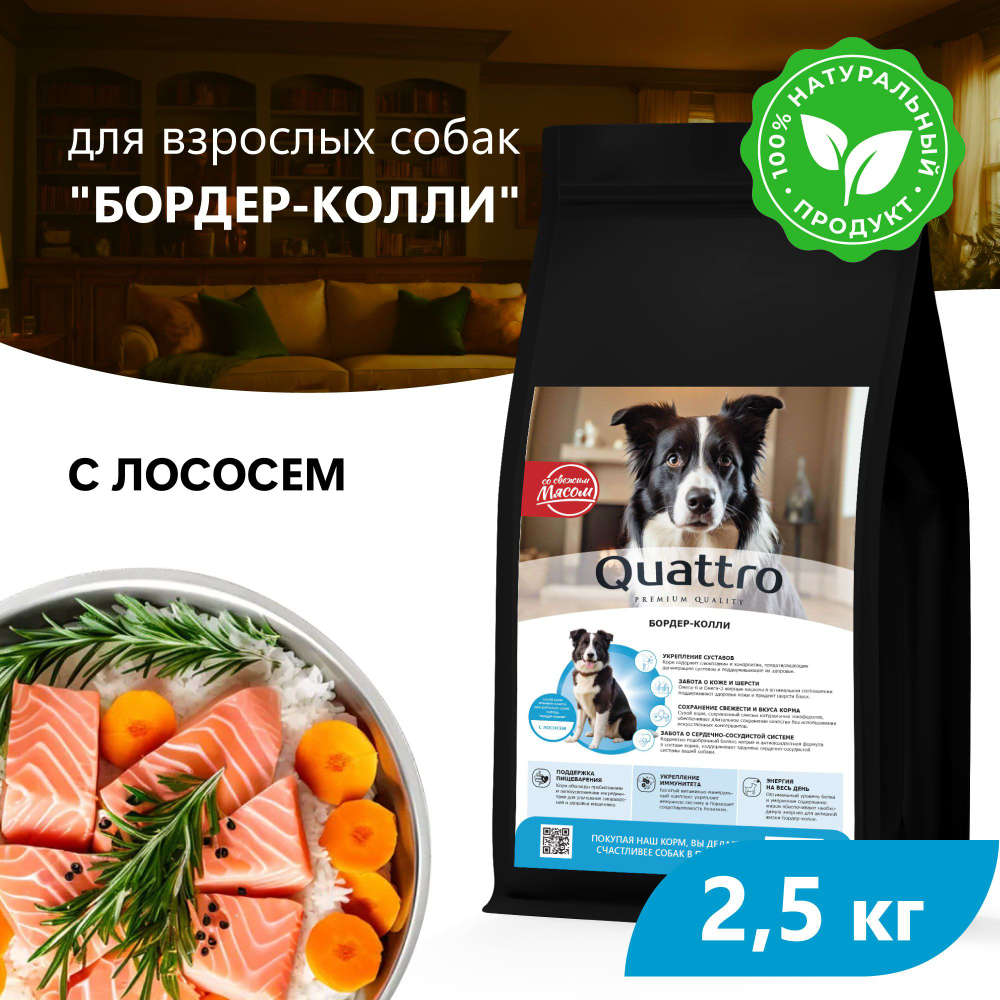 Корм сухой для взрослых собак породы Бордер-колли, премиум полнорационный комплекс, с лососем, 2,5 кг, QUATTRO
