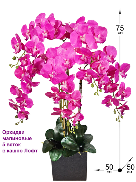 Орхидеи фаленопсис малиновые 5 веток в сером кашпо Лофт