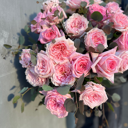 Формы трёх континентов — коллекция розовых роз исключительно прозрачных оттенков