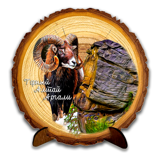 Спил кругляк "Аргали"