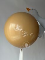 Воздушные шары на определение пола №8800