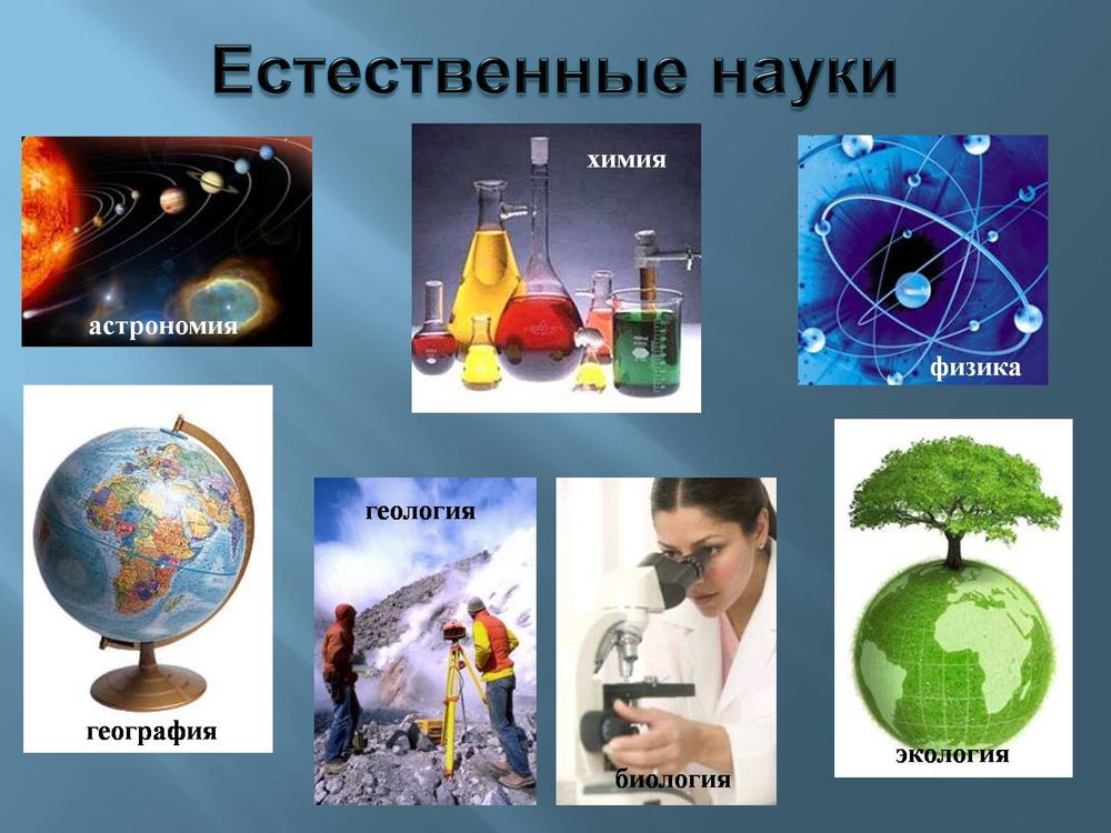 Цифровая лаборатория для начальных классов по естествознанию (комплект обучающегося) — купить по ФГОС | Учебный стандарт