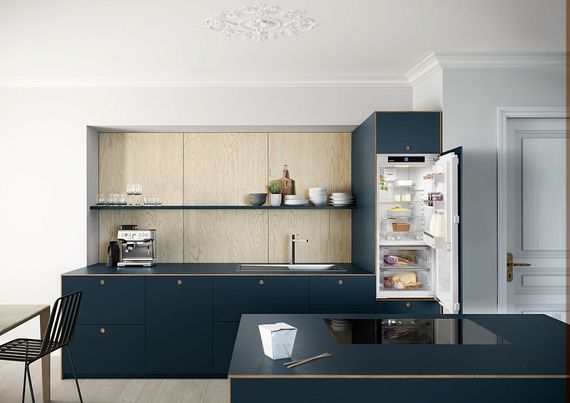 Холодильник Liebherr IRBd 4150-20 001