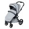 Коляска ANEX l/type 2 в 1 (lt-10t) frost + Аксесcуары
