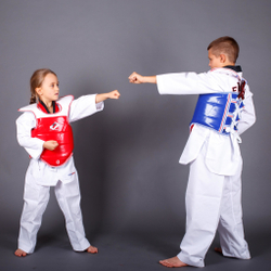 Протектор (жилет)защитный для тхэквондо двухсторонний ProfSport