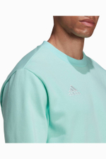 Кофта adidas Entrada 22 Sweat Top