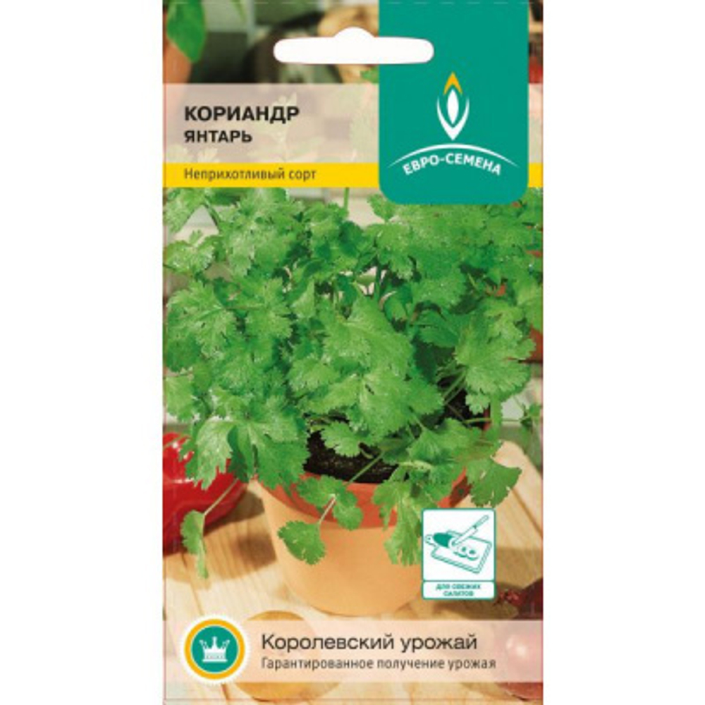 Кориандр Янтарь 2 г. Б ЕС