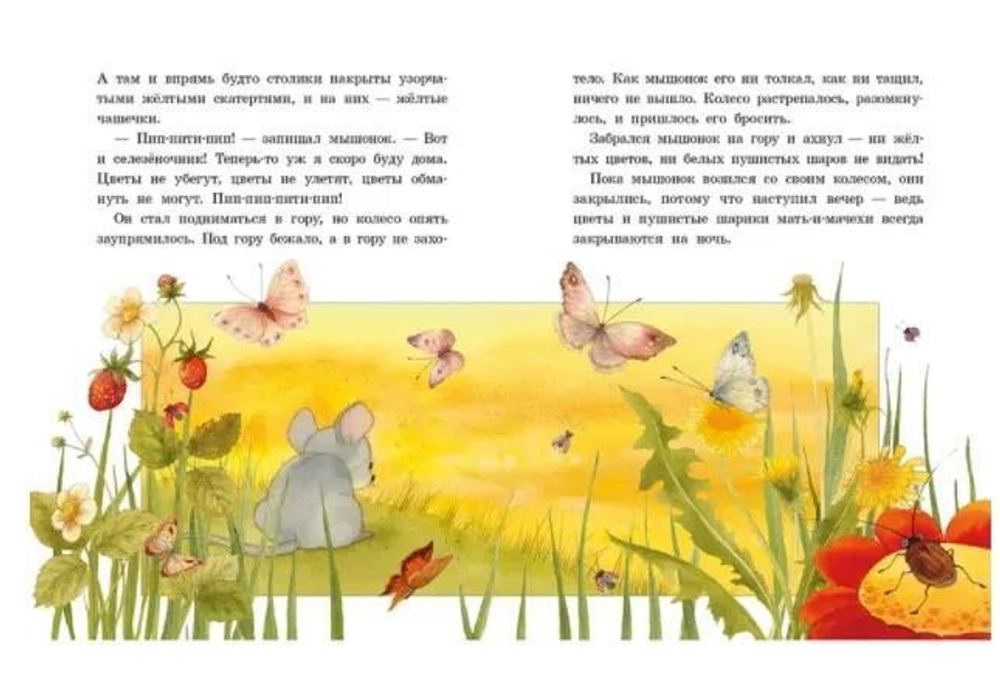 Мышонок заблудился