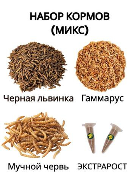 Белковый микс для кормления муравьев