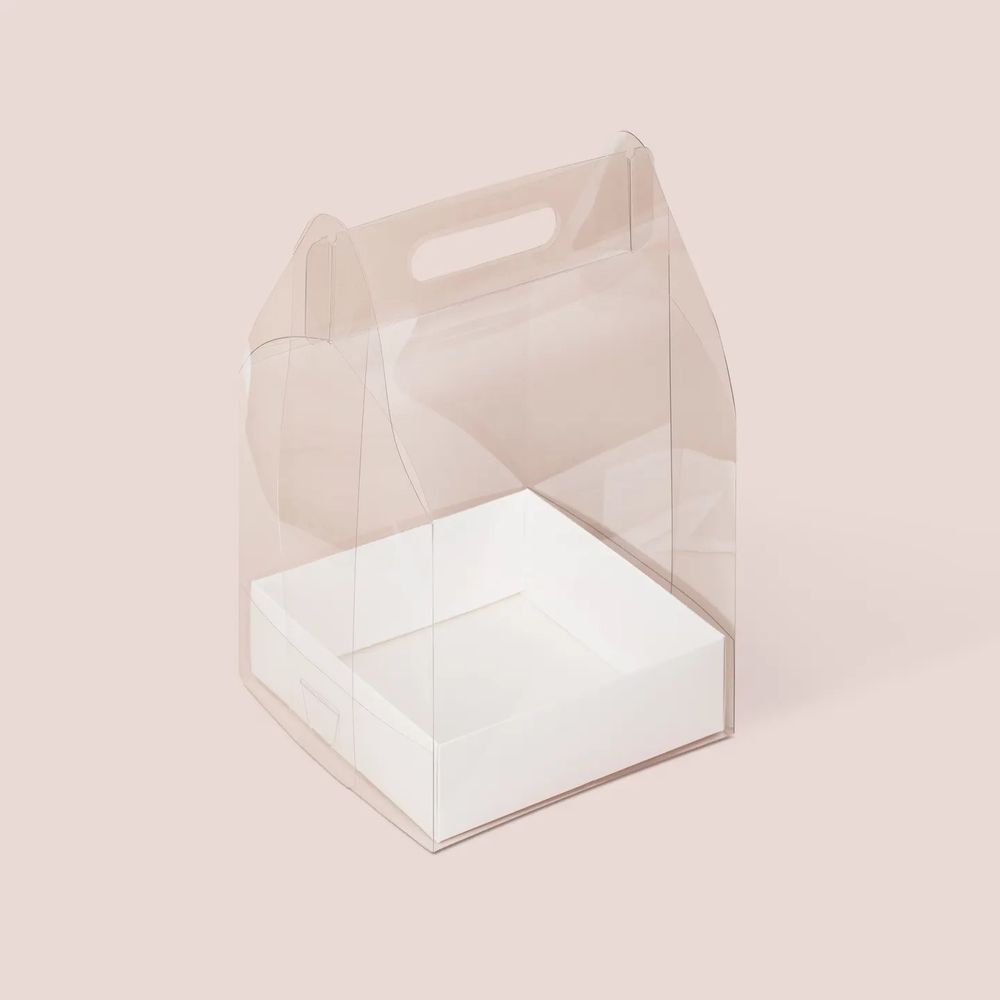 Переноска пластиковая 180*180*240 мм с коробкой