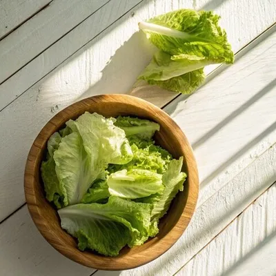 Фотография Салат Айсберг свежий / 1 кг купить в магазине Афлора