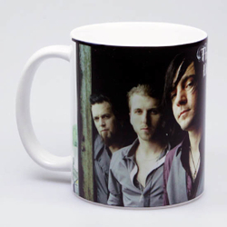 Кружка Three Days Grace