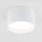 Потолочный светодиодный светильник Elektrostandard 25123/Led Banti 13Вт 4200K a058846