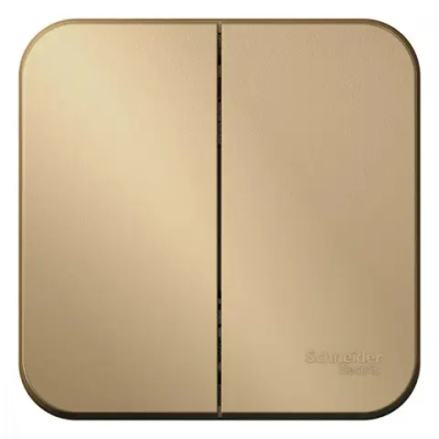 BLANCA О/У 2-клавишный ВЫКЛЮЧАТЕЛЬ (сх.5) ИЗОЛ.ПЛ., 10А, 250В, ТИТАН