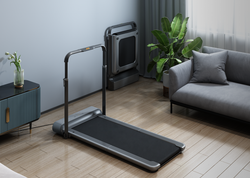 KingSmith WalkingPad R1