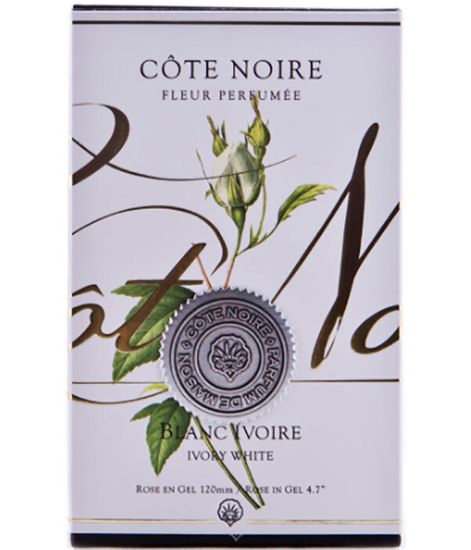 Ароматизированная роза слоновая кость в прозрачной вазе, Cote Noire