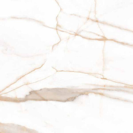 Керамогранит Calacatta Goddes Gold белый Полированный 60