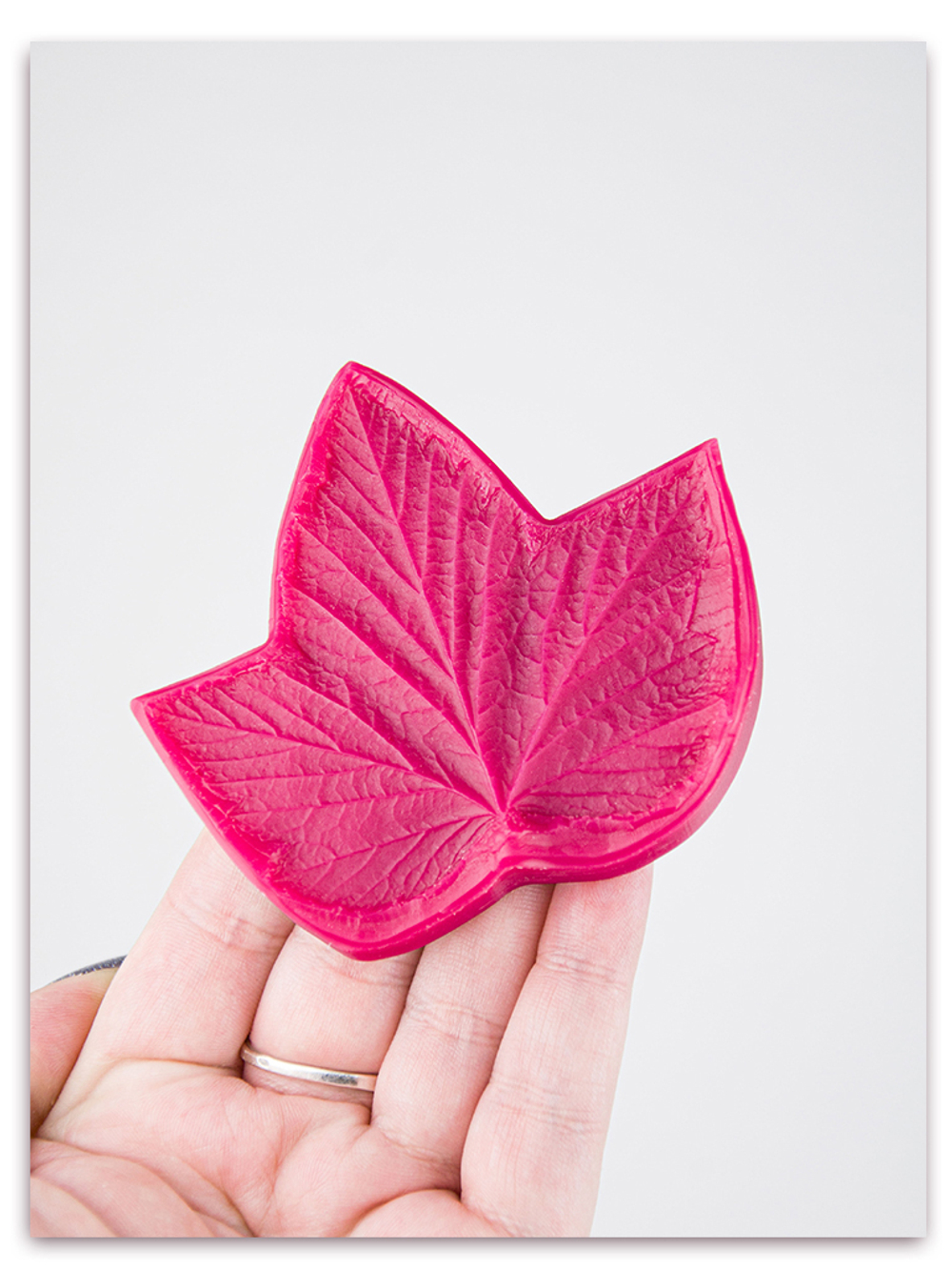 Лист смородины универсальный