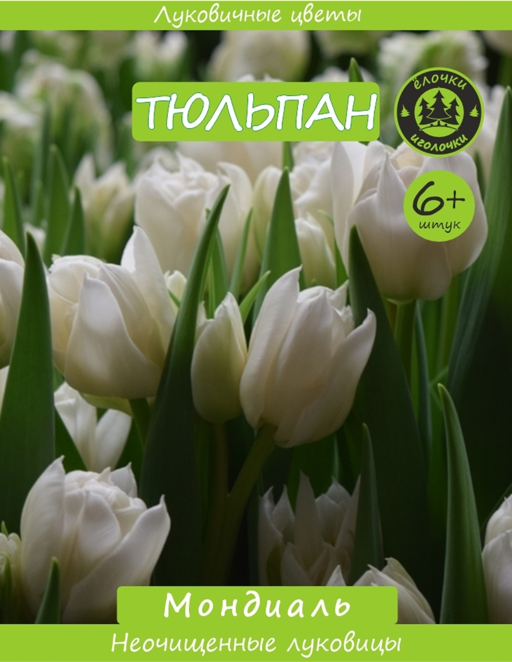 Тюльпан Луковица, Мондиаль, 6+ шт