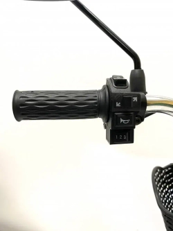 Электровелосипед Green Camel Транк 20 V8 40км