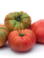 Ред Кой F1 семена томата индетерминантного ( Yuksel Tohum / )