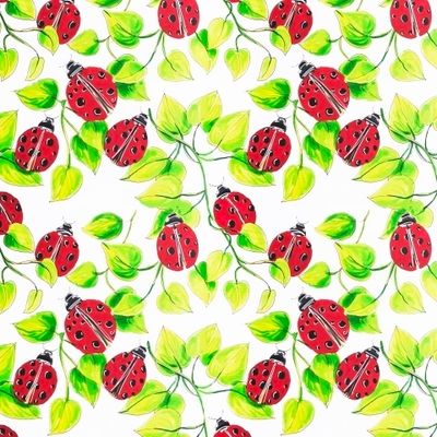 Божья коровка на листьях