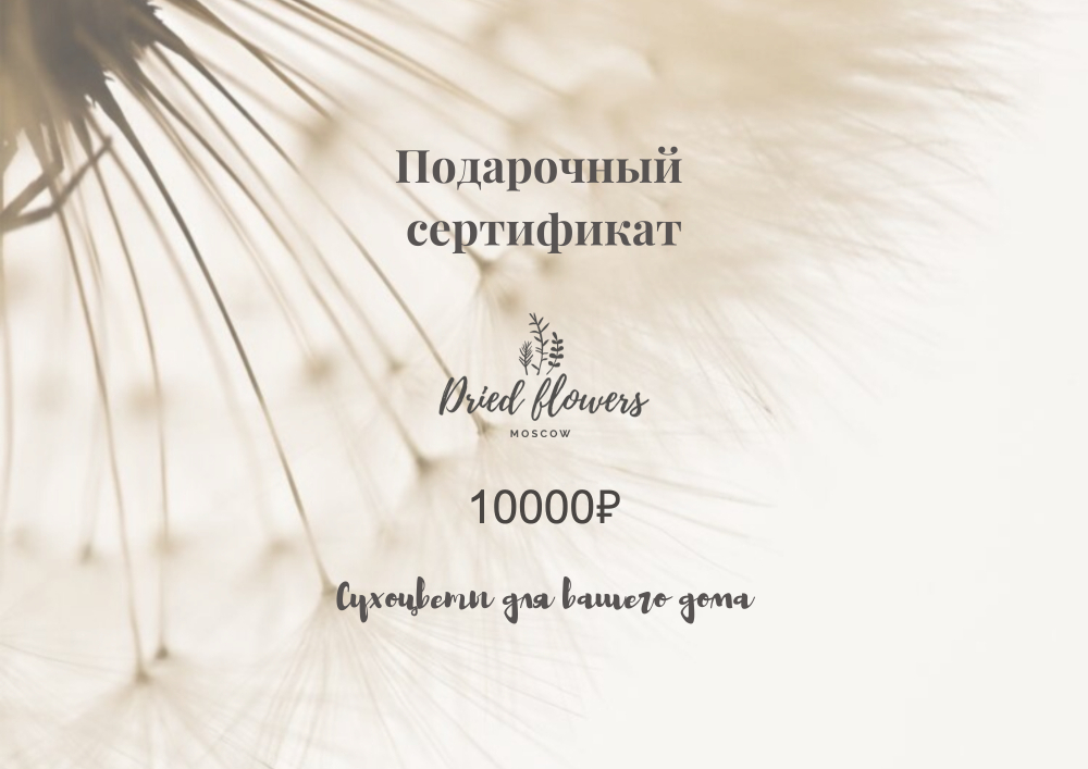 Подарочный сертификат на 10.000 рублей/Dried Flowers Moscow