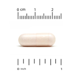 Lake Avenue Nutrition, ПЭА 300 мг и PQQ 10 мг, 30 растительных капсул