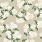 Rifle Paper Co. Second Edition