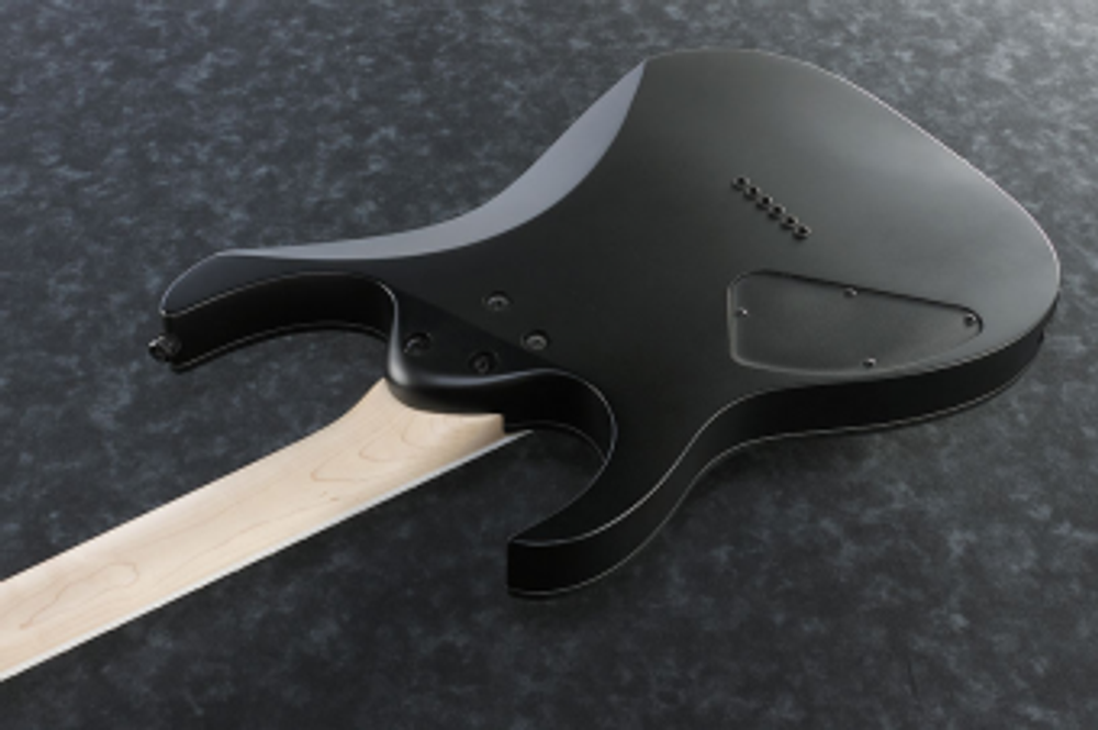 Ibanez RG Series RG421EX BKF