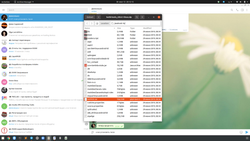 тест комплект