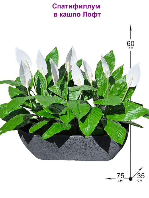 Искусственные цветы Спатифиллум 75см в кашпо Лофт