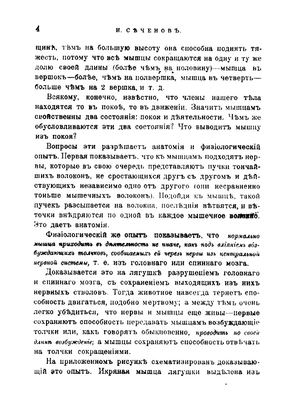 Физиологические очерки. Часть 2 | Сеченов Иван Михайлович
