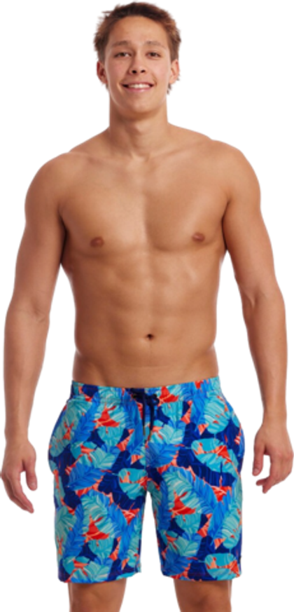 Шорты FUNKY TRUNKS Lotsa Leaves