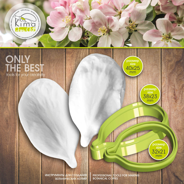 Яблоня лепесток крупный