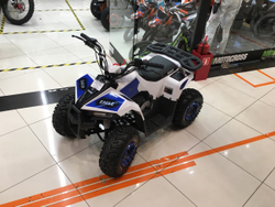 ATV Motoland 110 EAGLE (2020г.)