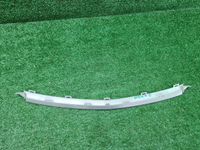 Молдинг решетки радиатора Geely Coolray (19-24)
