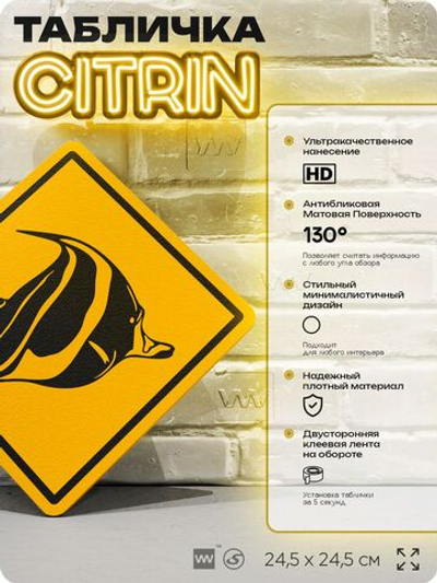 Табличка декоративная "Рыбка мавританский идол" на дверь и стену, информационная и предупреждающая, декоративный знак, 24,5х24,5 см, пластиковая, Айдентика Технолоджи