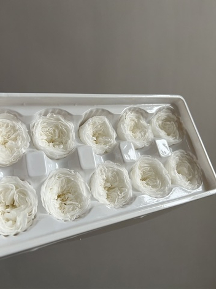 Роза пионовидная белая d=3,5-4 см (упак 10 шт)