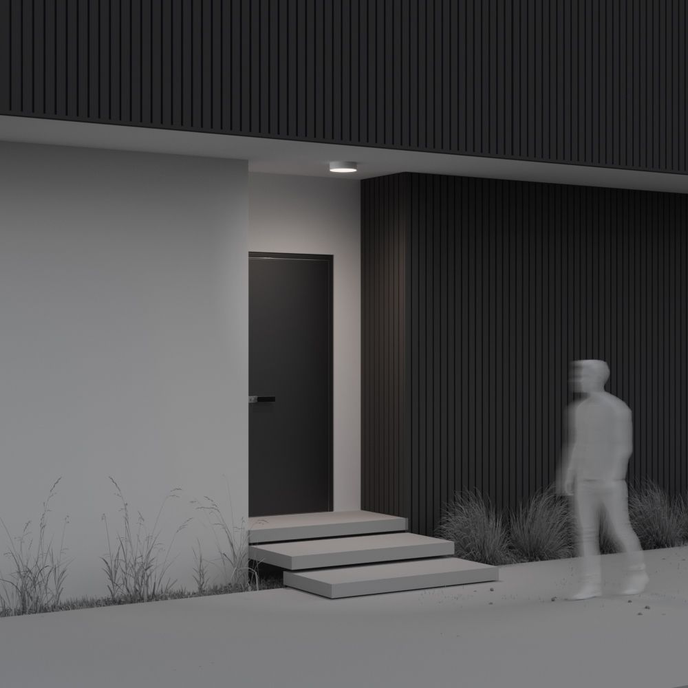 Уличный потолочный светодиодный светильник Maytoni   O431CL-L30W4K