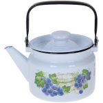 Чайник эмалированный 3,5л «Башня ласточки» С-2713/9