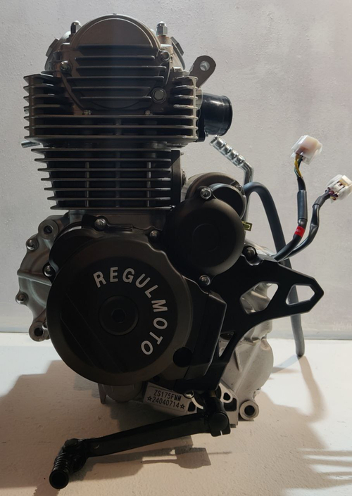 Двигатель ZS175-FMM 300см3 мотоцикл REGULMOTO SPORT 003