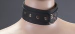 Ошейник широкий без подкладки из натуральной кожи (Цвет: черный)