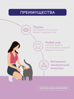 Паучи Buddy&Sol PREMIUM ADULT STERILIZED для стерилизованных кошек куриная печень в соусе 85 г