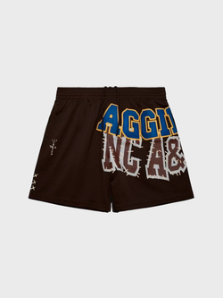 Шорты Cactus Jack Travis Scott x Mitchell & Ness North Carolina A&T Aggies Basketball Brown