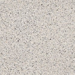 Линолеум коммерческий Profi Premium Venetto 1, 3х22м (рулон)