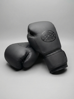 Боксерские детские перчатки Arcade Black
