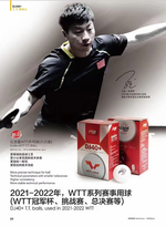 Мячи DJ40+ WTT 12шт