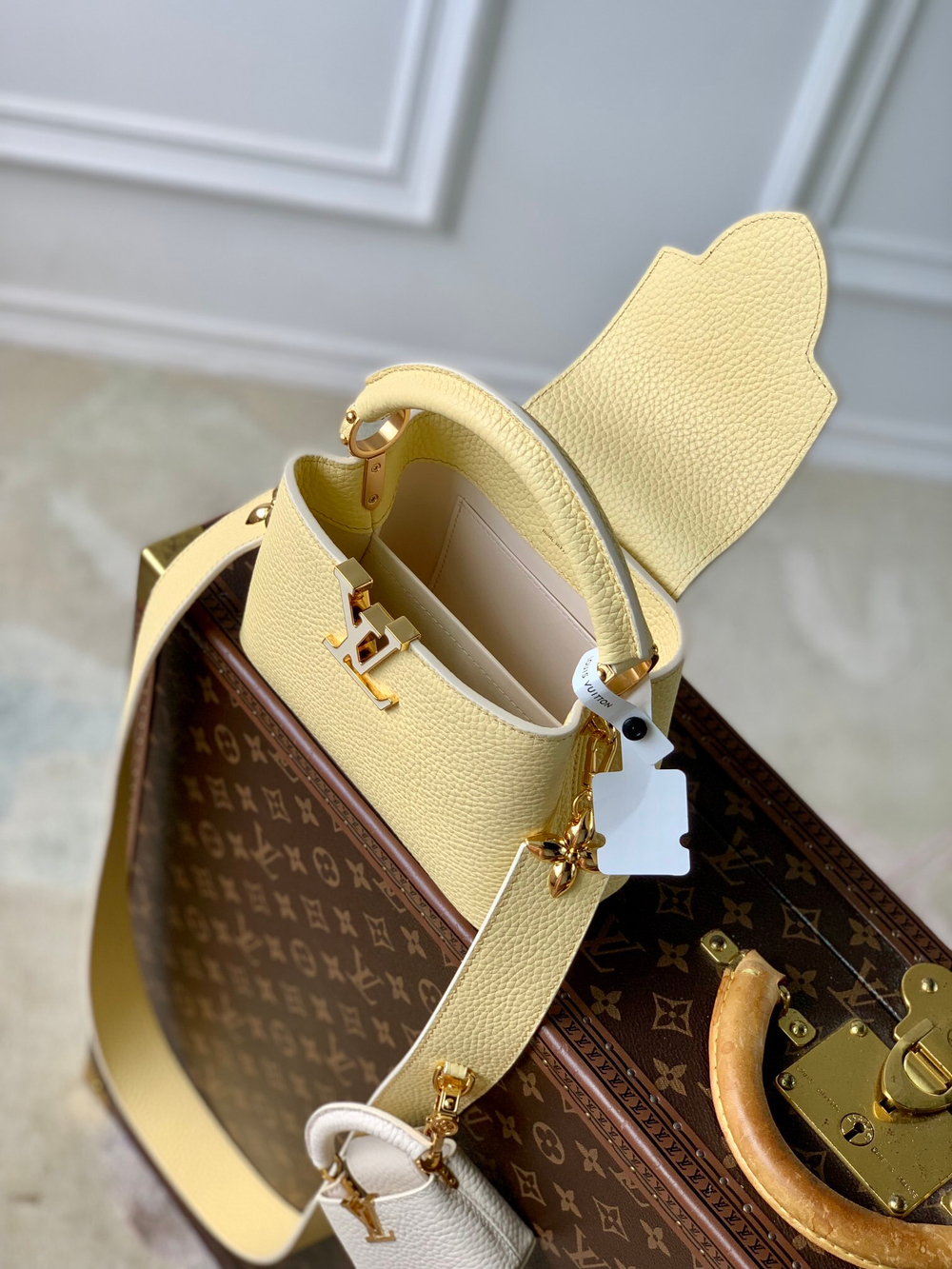 Louis Vuitton Capucines Mini (3 colors)