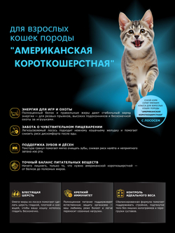 Корм сухой для взрослых кошек породы Американская короткошерстная, с лососем, 400 гр, QUATTRO